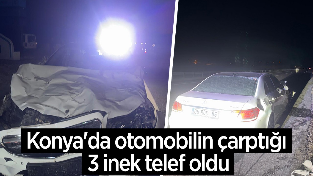 Konya'da otomobilin çarptığı 3 inek telef oldu