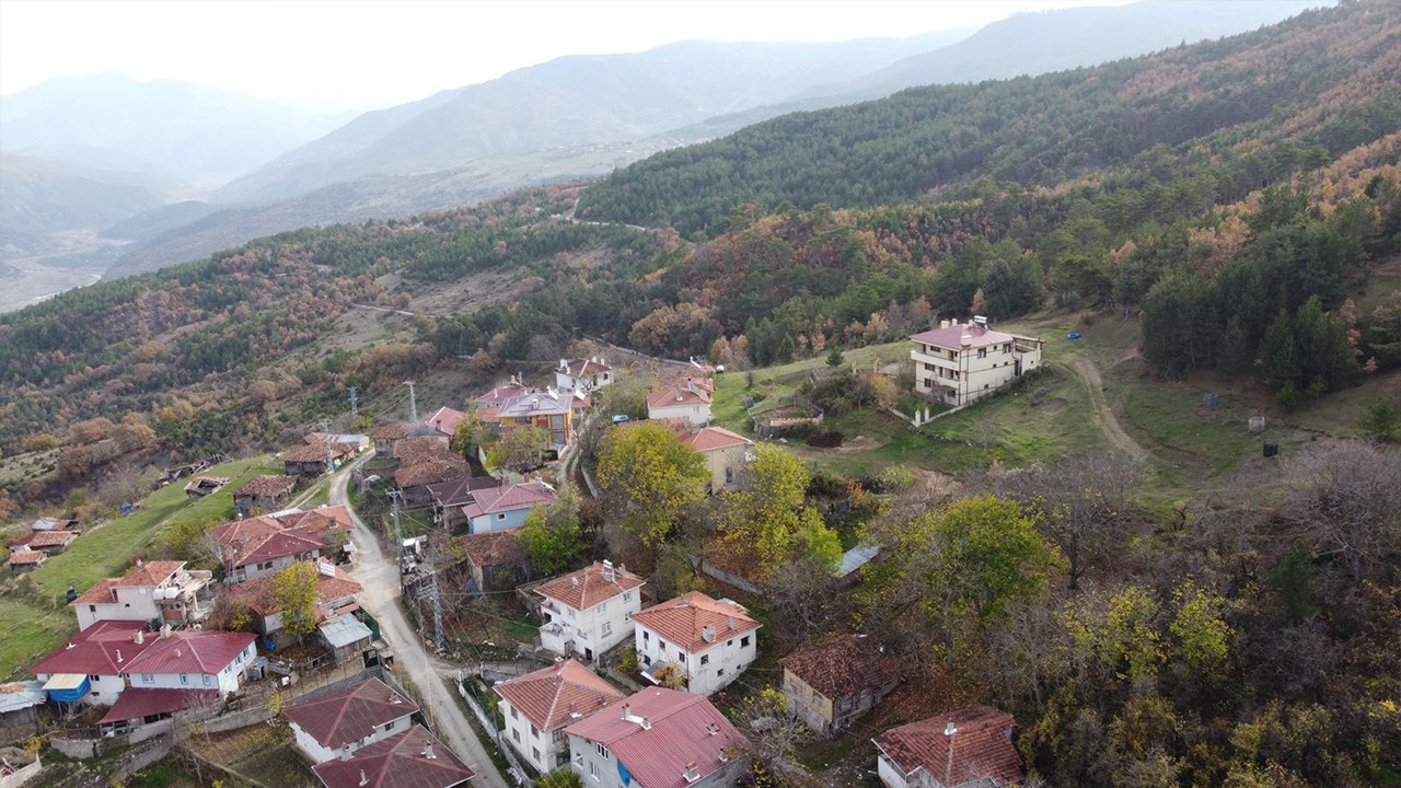 Mantar toplamak için evden ayrılan kadın ormanda ölü bulundu