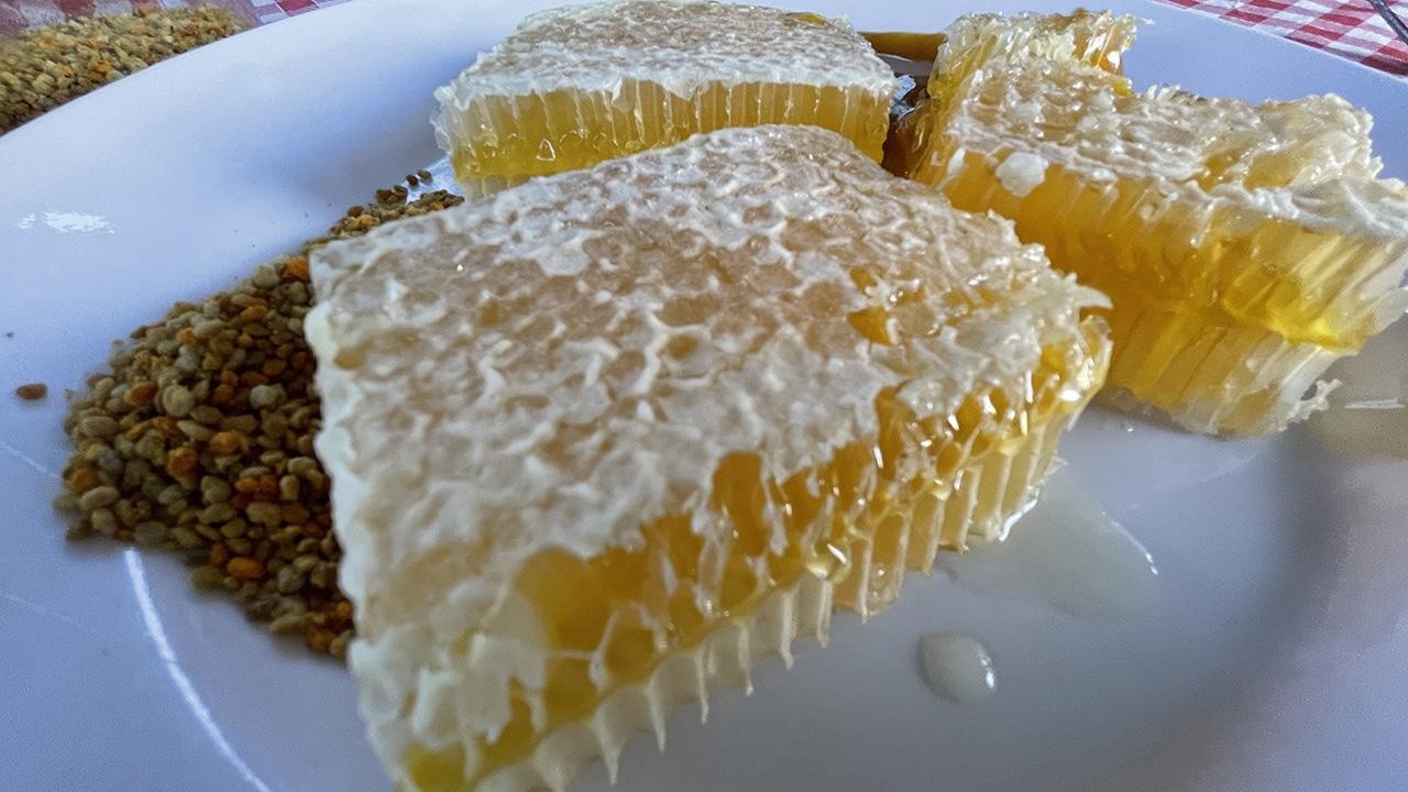 Türkiye’nin AB tescilli coğrafi işaret sayısı 43’e yükseldi