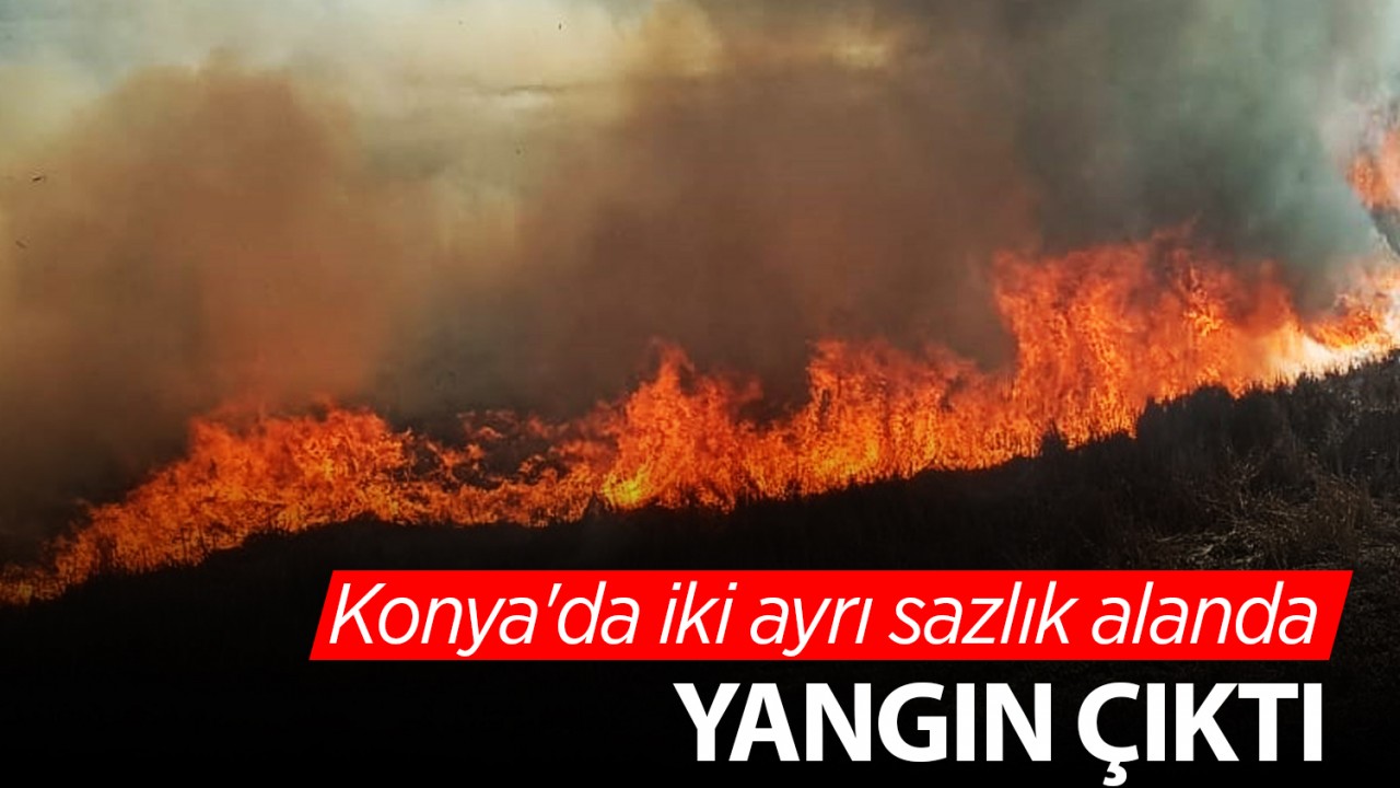 Konya'da iki ayrı sazlık alanda yangın çıktı!