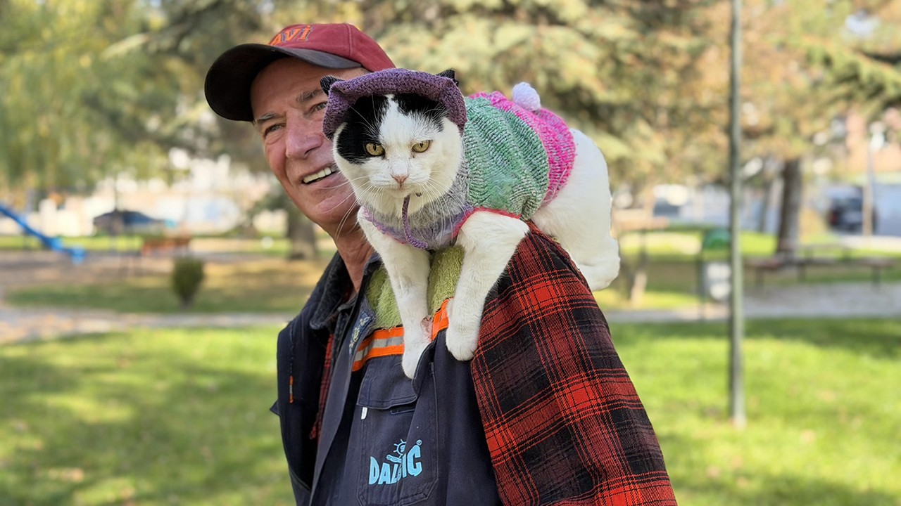 12 yıl önce sahiplenip birlikte 65 şehir gezdiği kedisi omzundan inmiyor