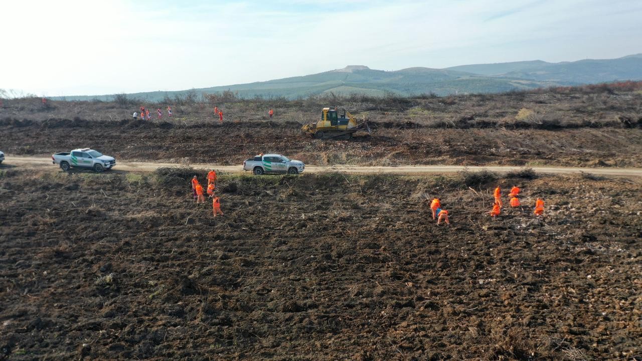 'Alev savaşçıları' fidan dikimi için sahada