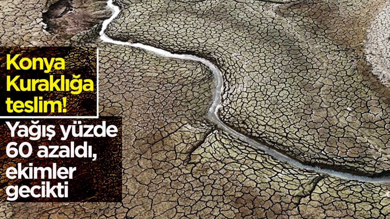 Konya Kuraklığa teslim! Yağış yüzde 60 azaldı, ekimler gecikti