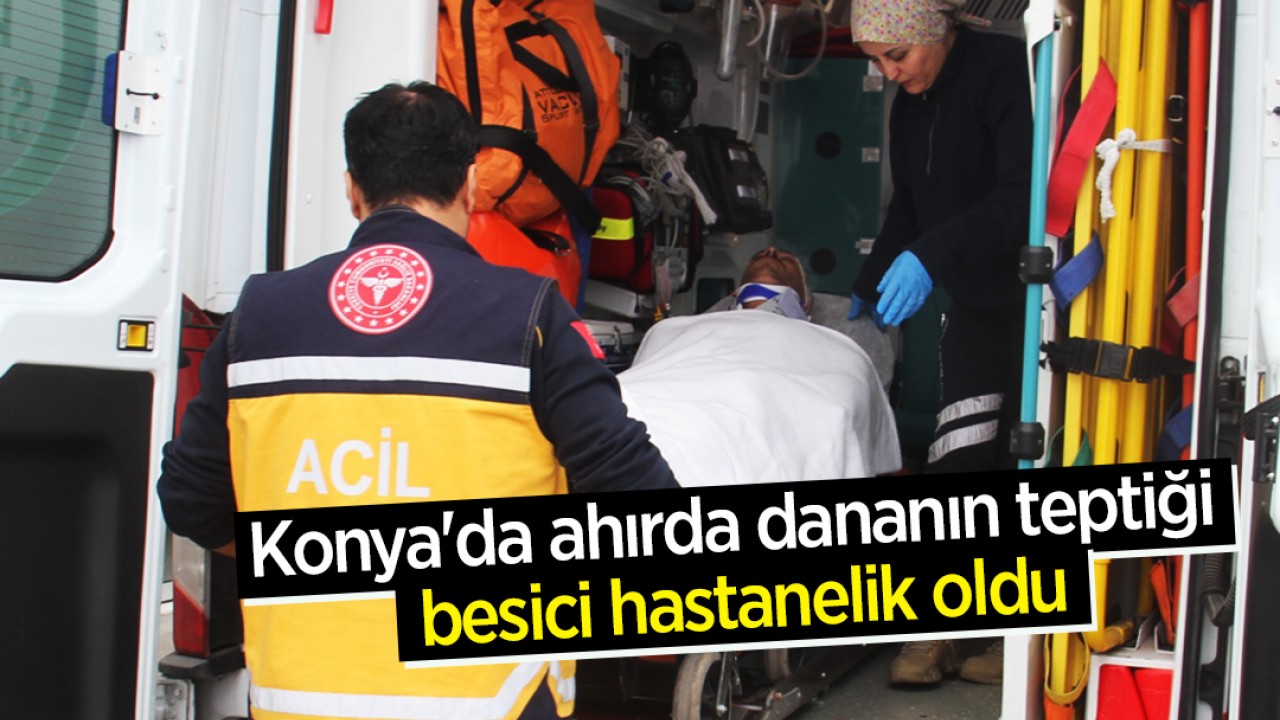 Konya'da ahırda dananın teptiği besici hastanelik oldu