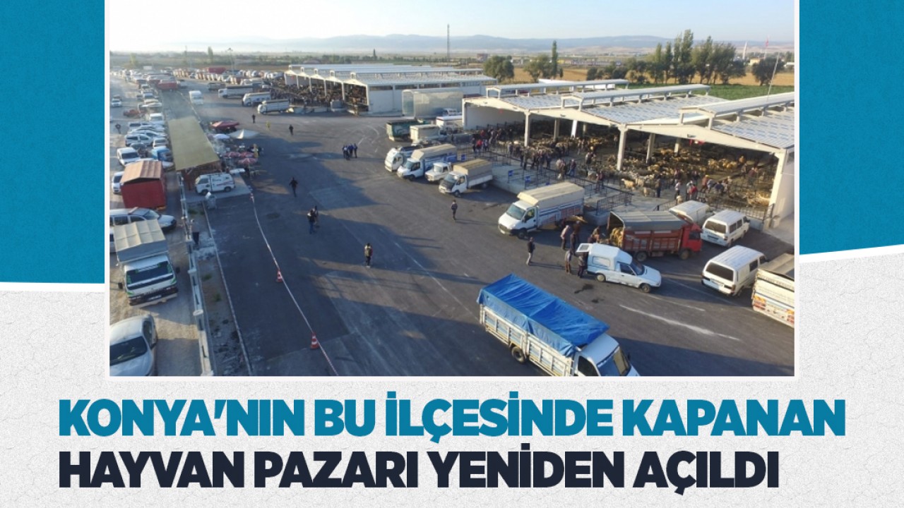 Konya'nın bu ilçesinde kapanan hayvan pazarı yeniden açıldı