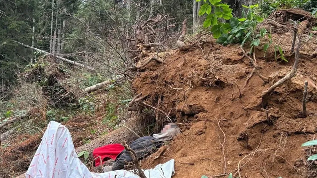 Kestiği ağacın altında kalan kişi yaşamını yitirdi