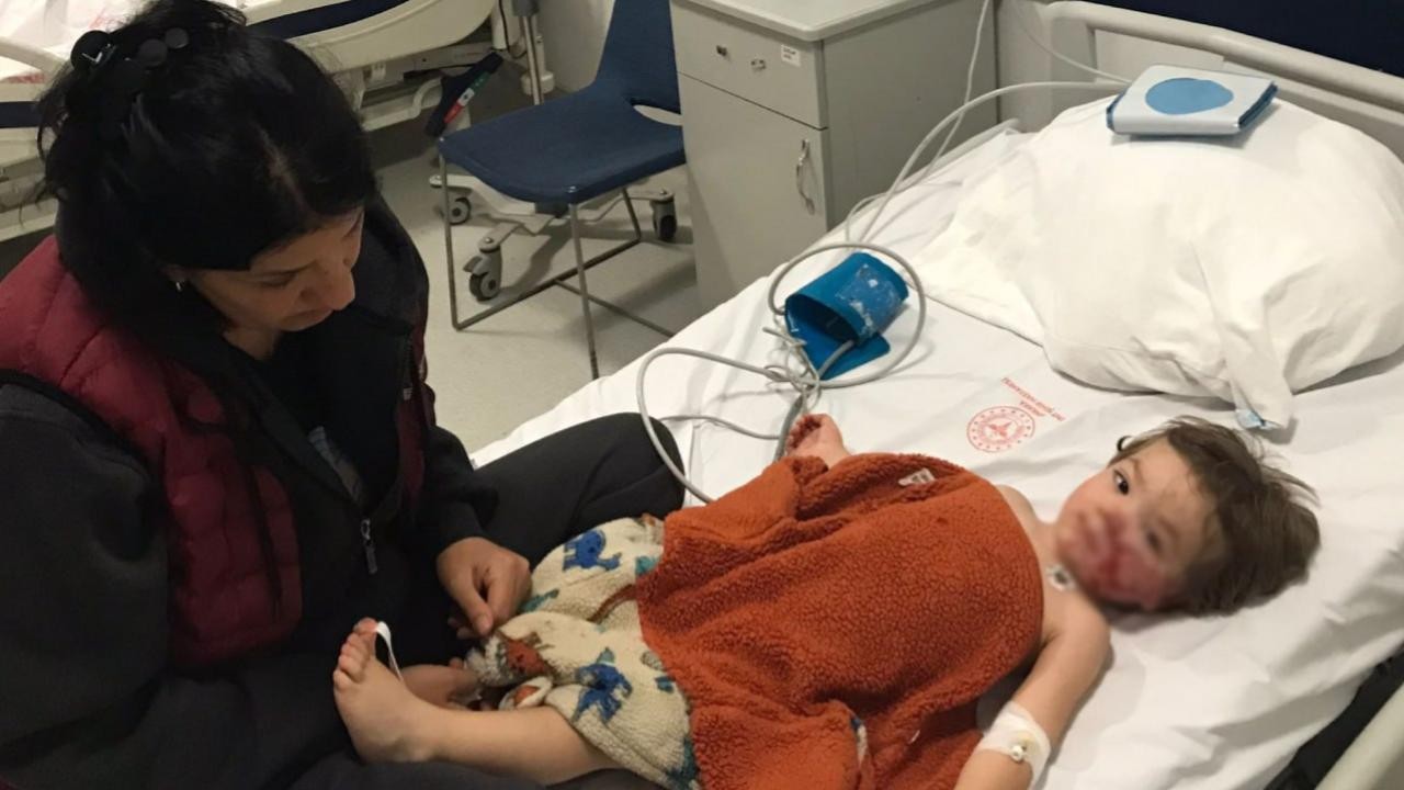 Pitbull iki küçük kardeşe saldırdı: Köpeğin sahibi gözaltına alındı