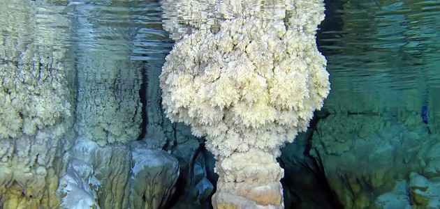 Mersin Gilindire Mağarası’ndaki gölün barındırdığı zenginlikler su altı kamerasında