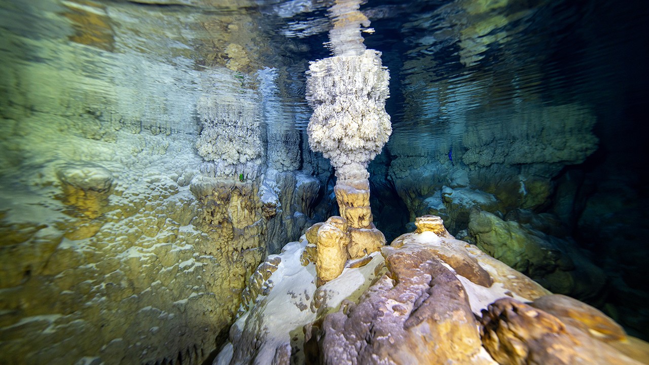 Gilindire Mağarası'ndaki gölün barındırdığı zenginlikler su altı kamerasında