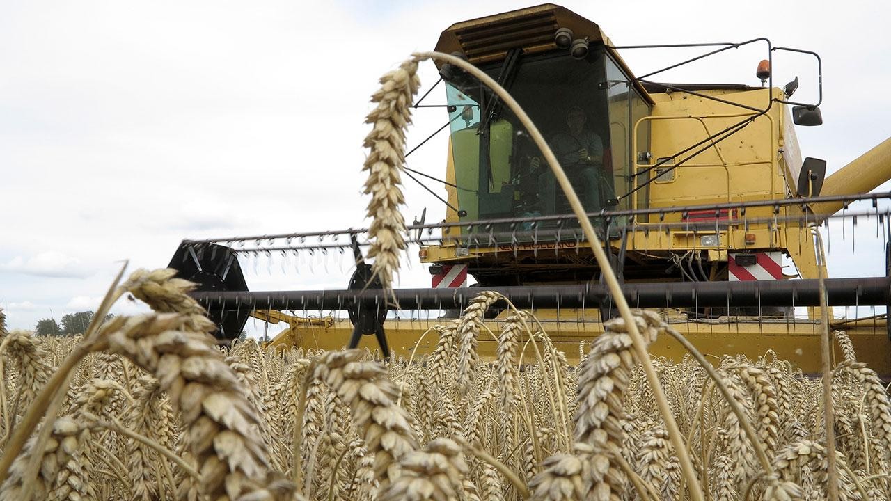 Üreticilere kasımda 376,8 milyon lira destekleme ödemesi yapıldı