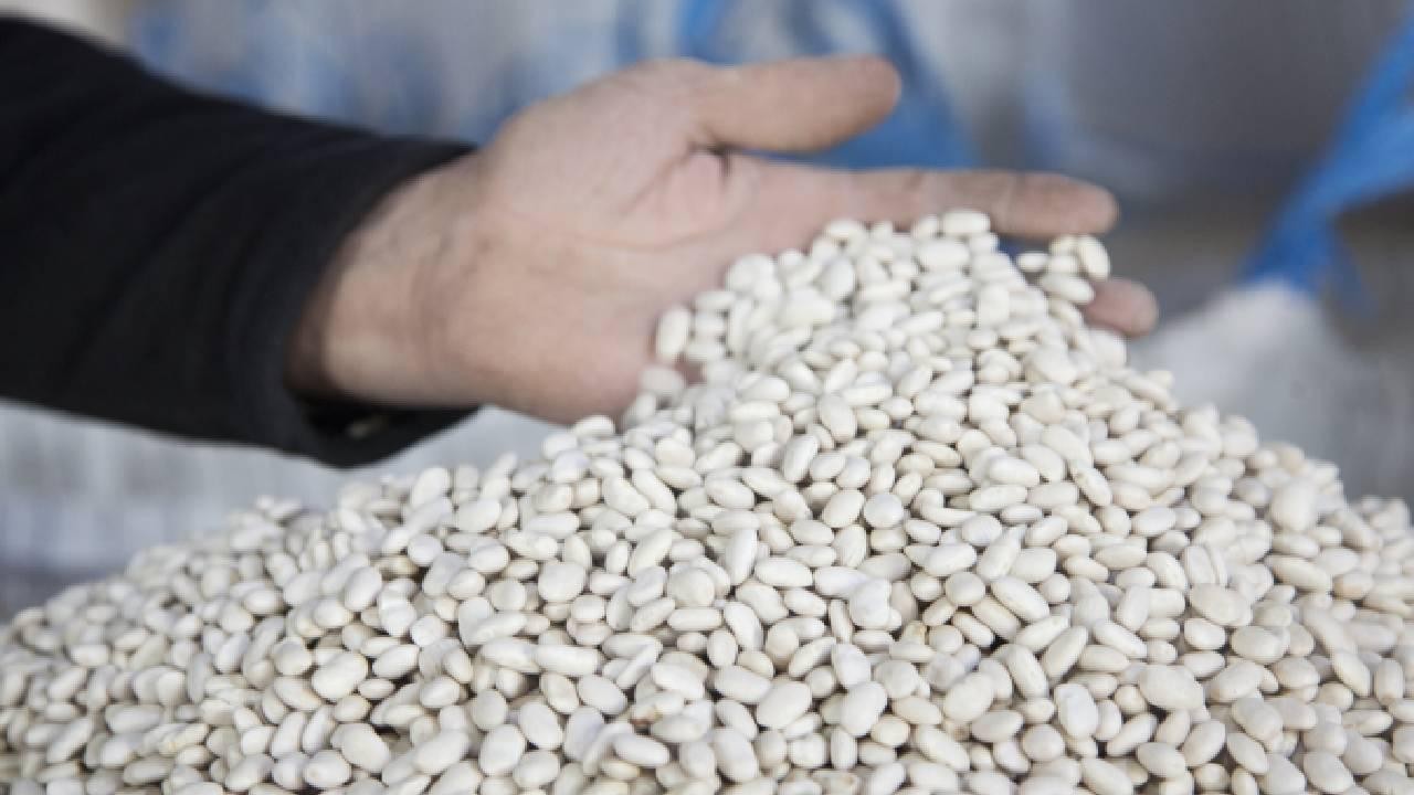 DMM, "kuru fasulye krizi" iddiasını yalanladı