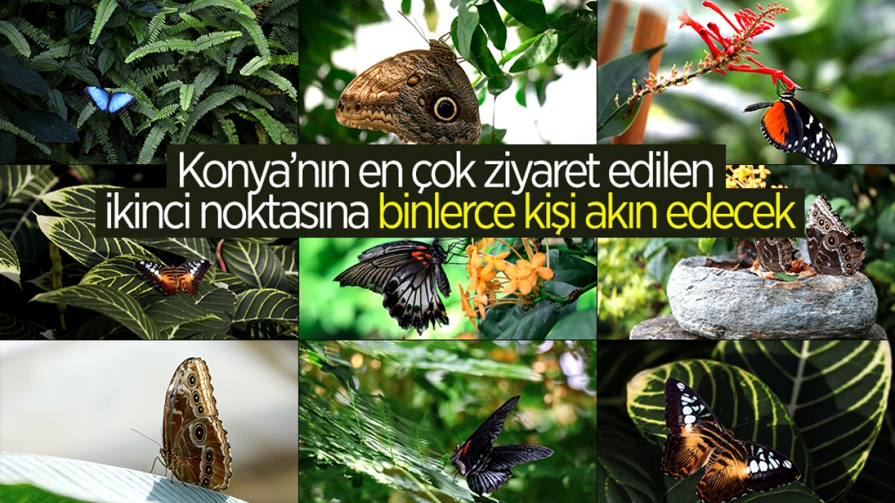 Konya’nın en çok ziyaret edilen ikinci noktasına binlerce kişi akın edecek