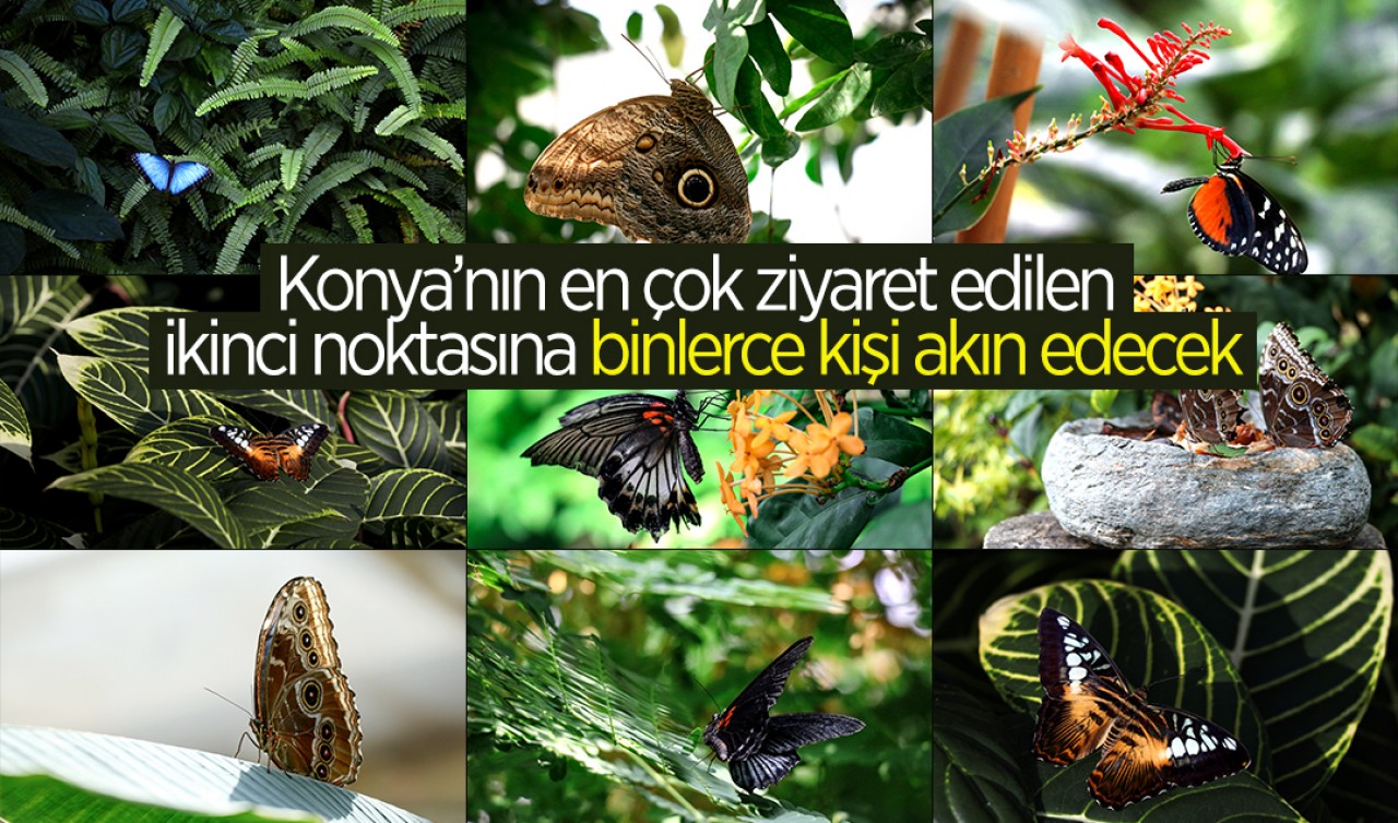 Konya’nın en çok ziyaret edilen ikinci noktasına binlerce kişi akın edecek