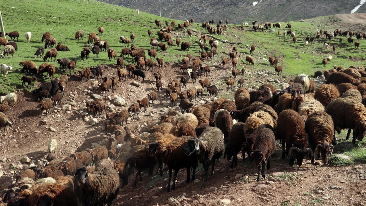 "Halk Elinde Islah Projeleri"ne 2,7 milyar lira destek sağlandı