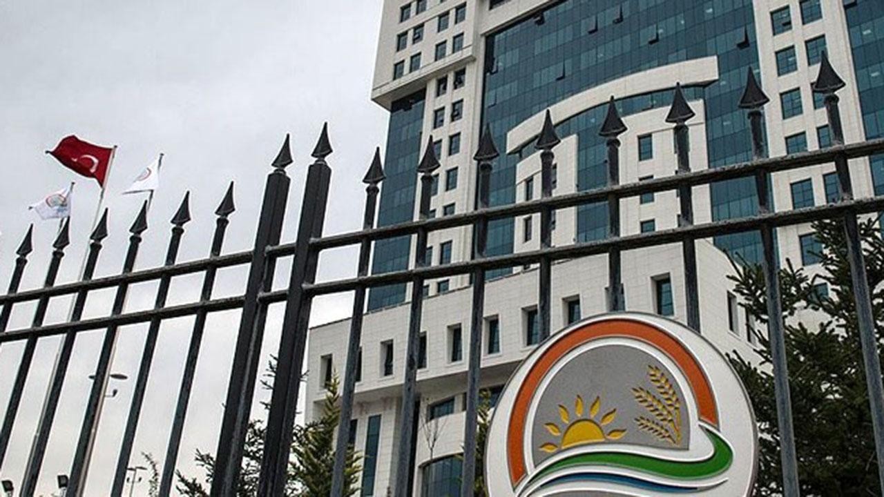 Tiftik, sözleşmeli üretim kapsamında