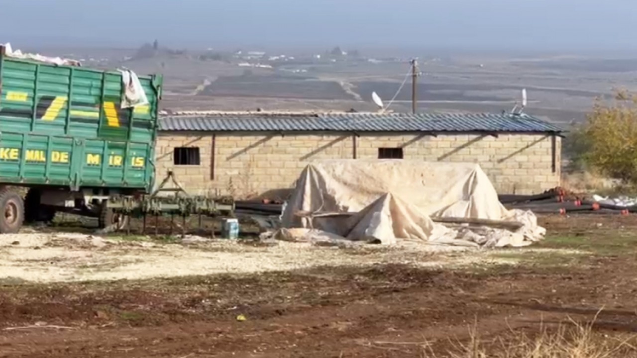 Ahır görünümlü tesiste kaçak elektrikle kripto para imal etmişler