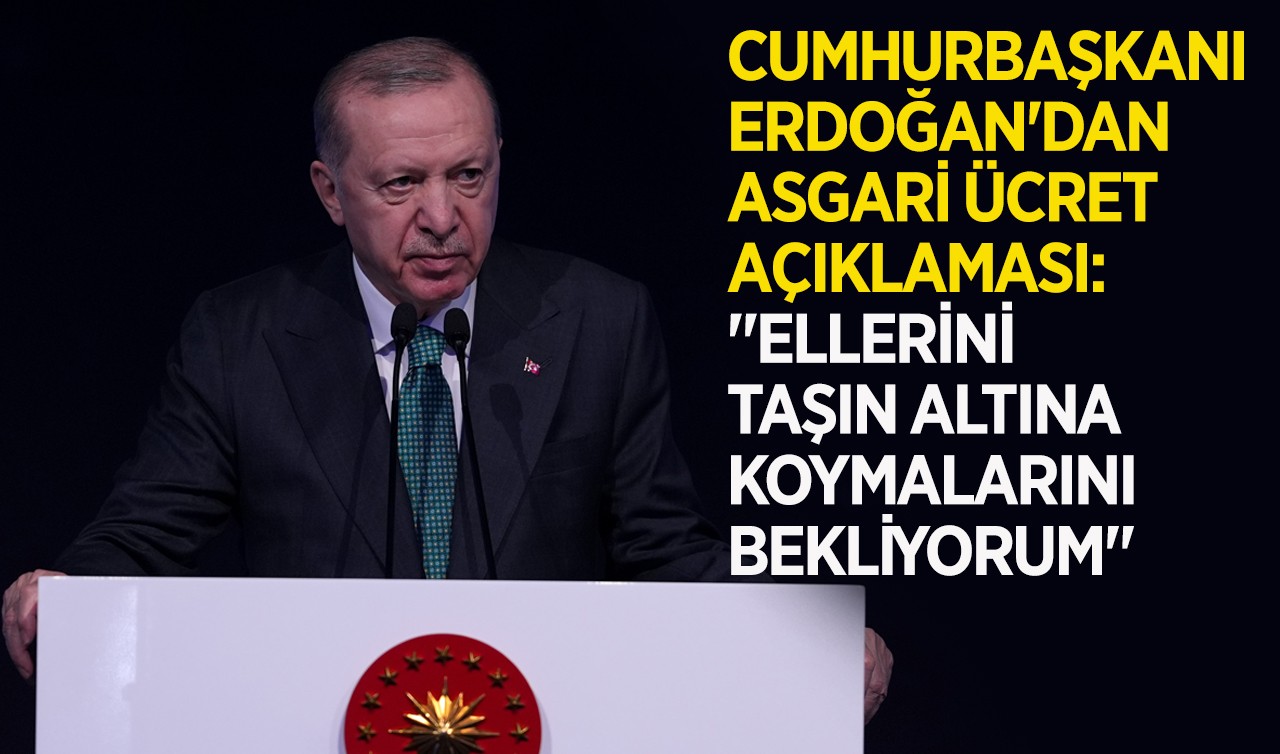 Cumhurbaşkanı Erdoğan'dan asgari ücret açıklaması "Ellerini taşın altına koymalarını bekliyorum"