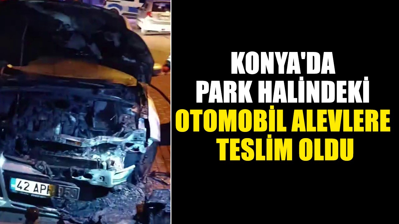 Konya'da park halindeki otomobil alevlere teslim oldu
