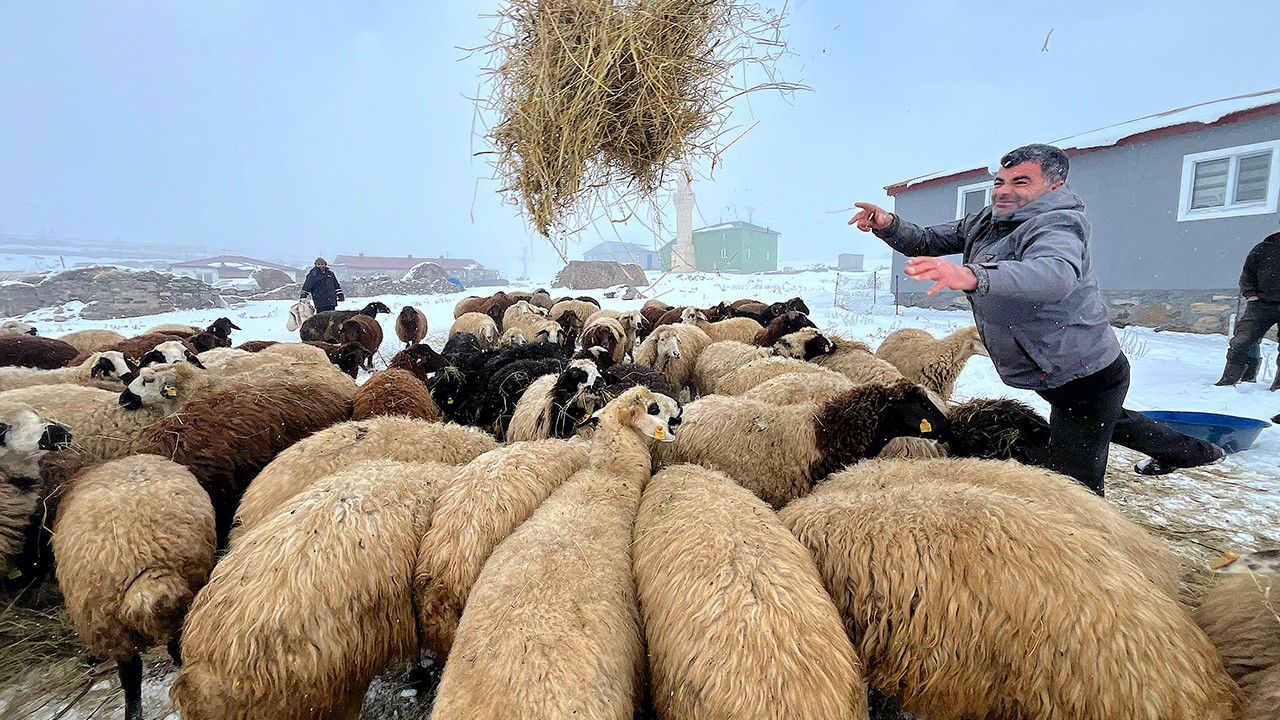 Besicilerin zorlu kış mesaisi başladı