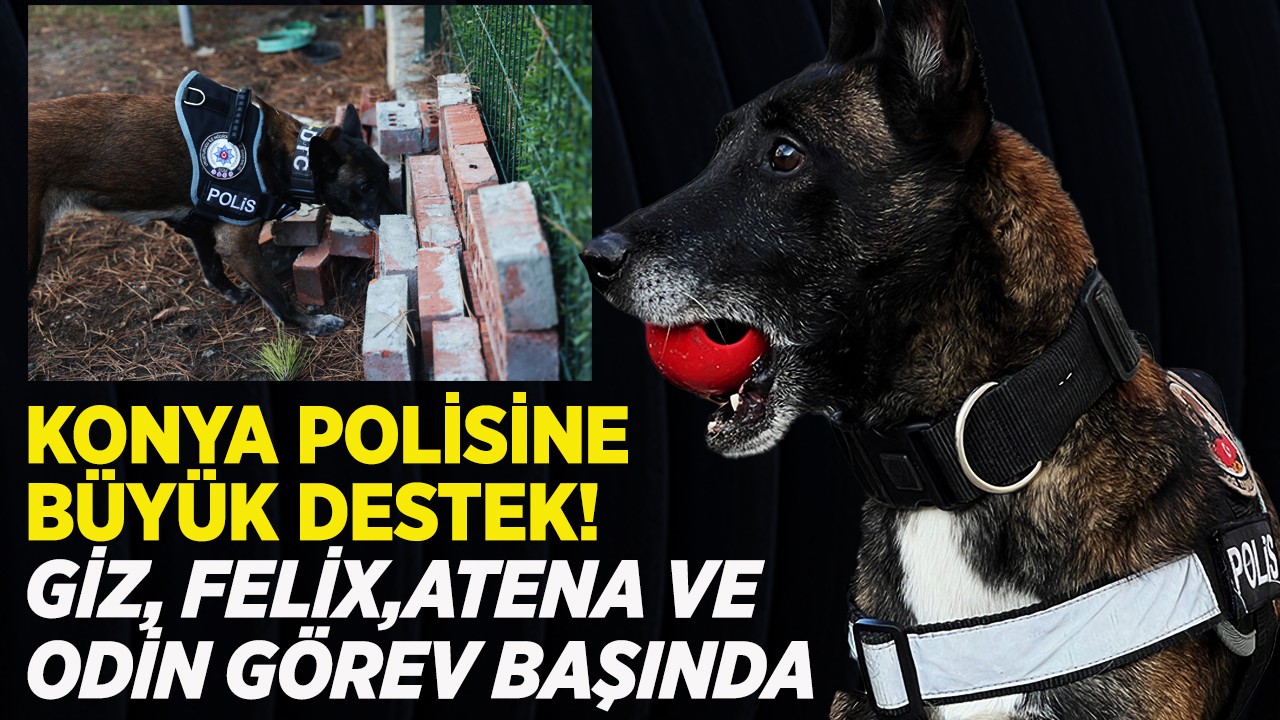 Konya polisine büyük destek! Giz, Felix, Atena ve Odin görev başında