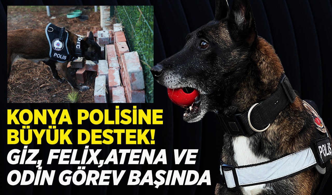 Konya polisine büyük destek! Giz, Felix, Atena ve Odin görev başında
