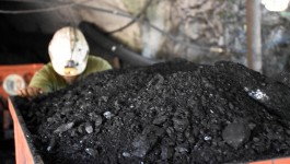 Türkiye Taşkömürü Kurumu 263 yeni personel alacak