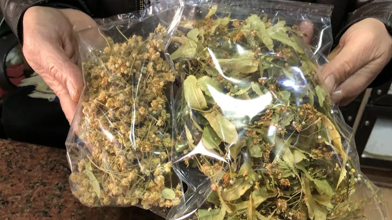 Eskiden şifa, şimdi lüks: Kış aylarının vazgeçilmesi ıhlamur fiyatları dudak uçuklattı