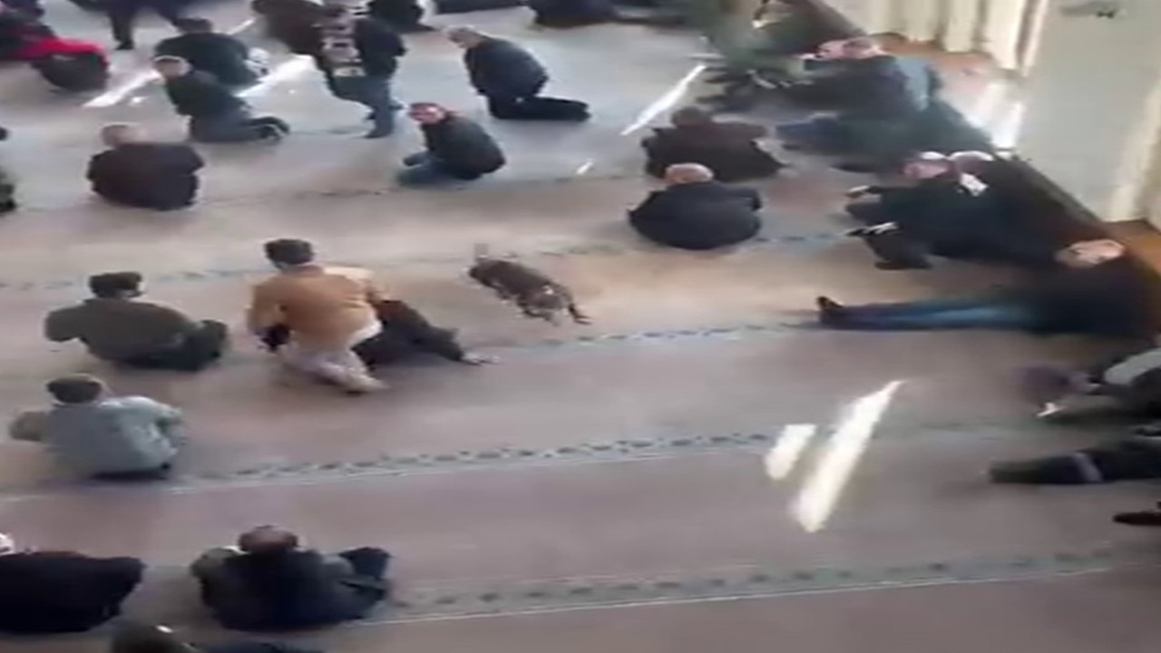 Camiye giren pitbullun sahibine adli ve idari işlem yapıldı
