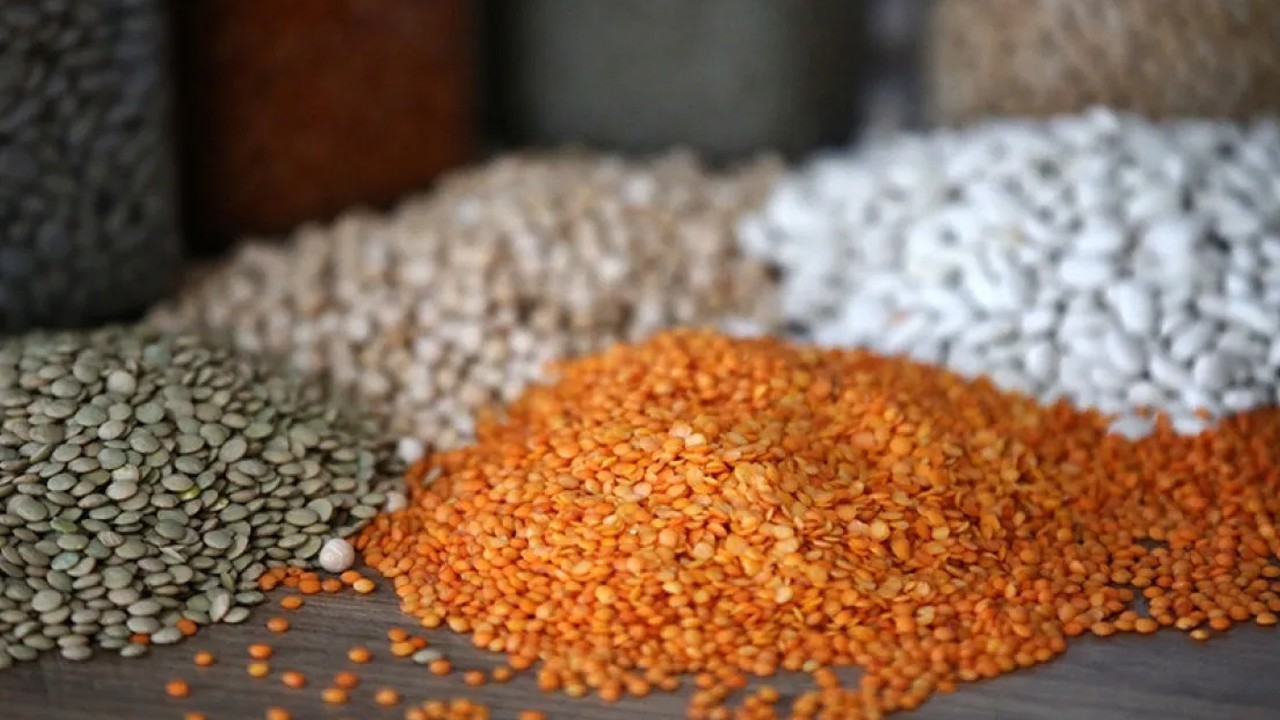 Güneydoğu'dan 3,2 milyar dolarlık hububat ihracatı