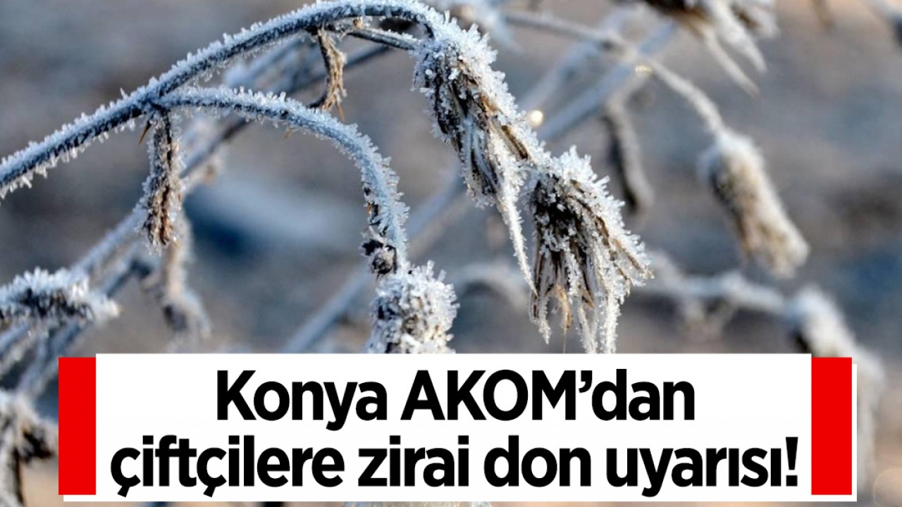 Konya AKOM’dan çiftçilere zirai don uyarısı!