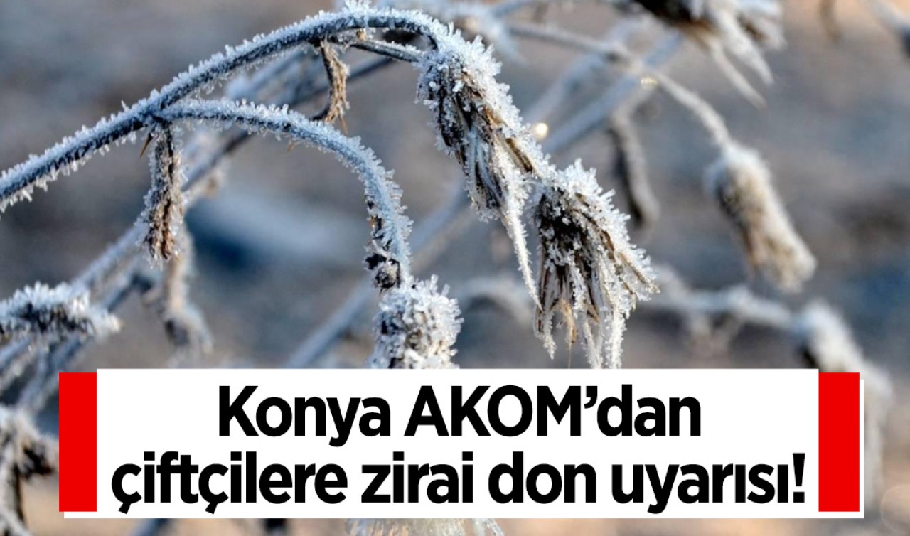 Konya AKOM’dan çiftçilere zirai don uyarısı!
