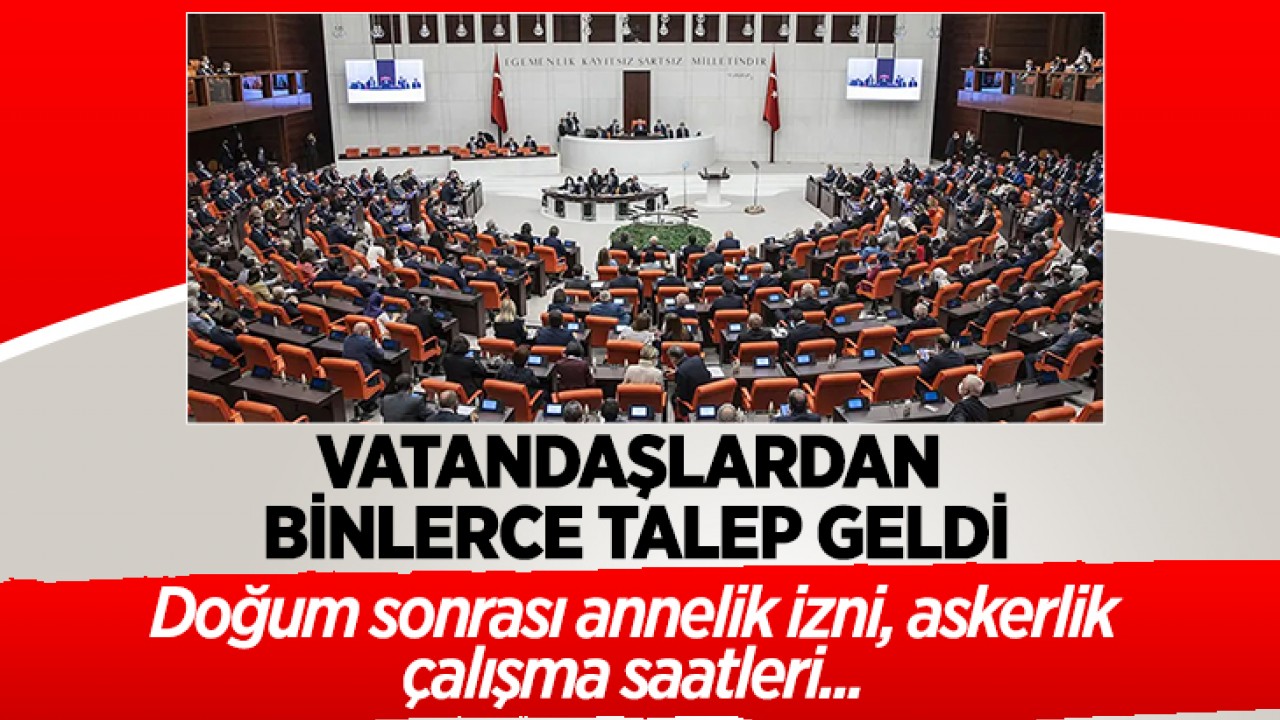 Vatandaşlardan binlerce talep geldi: Doğum sonrası annelik izni, askerlik, çalışma saatleri...