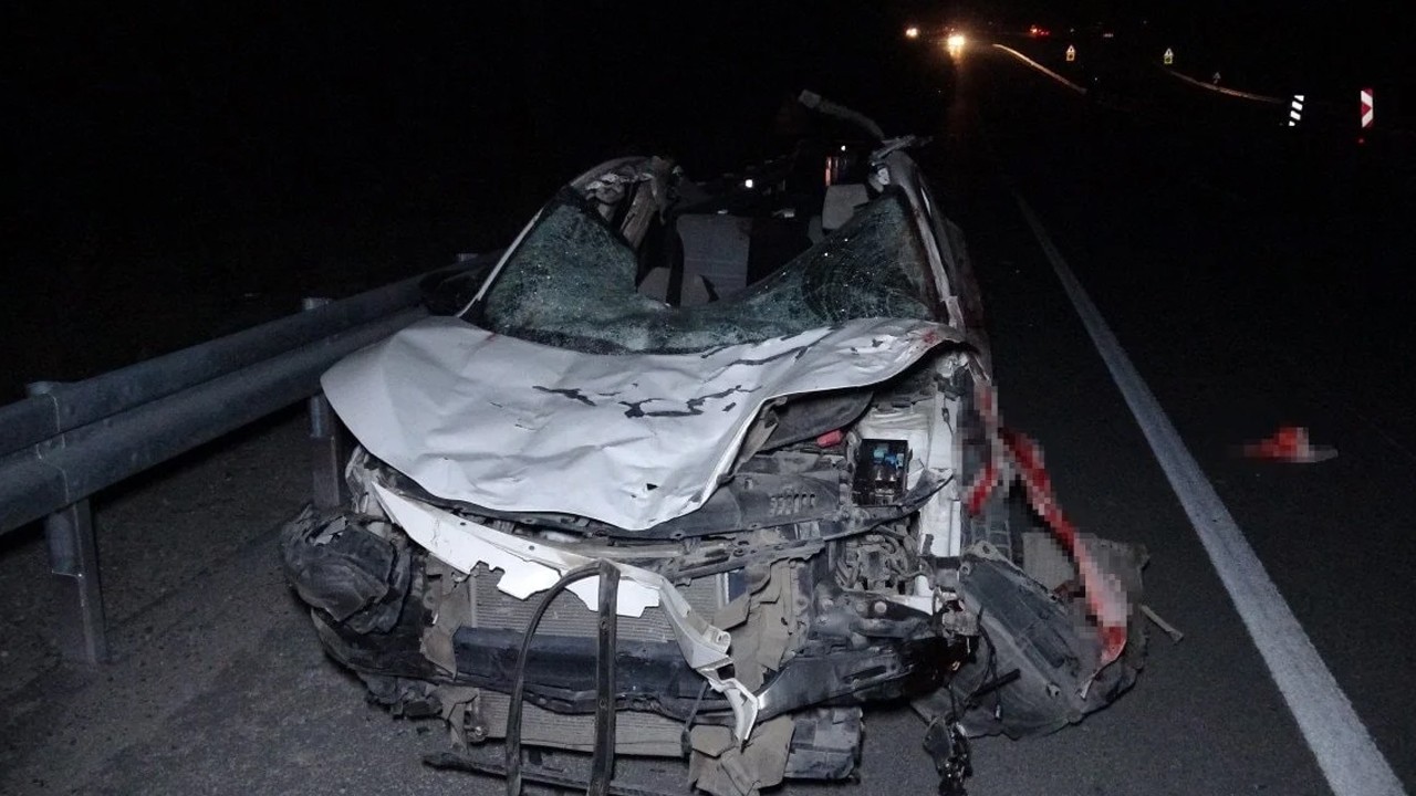 Milyonluk yarış tayları kaza sonucu telef oldu