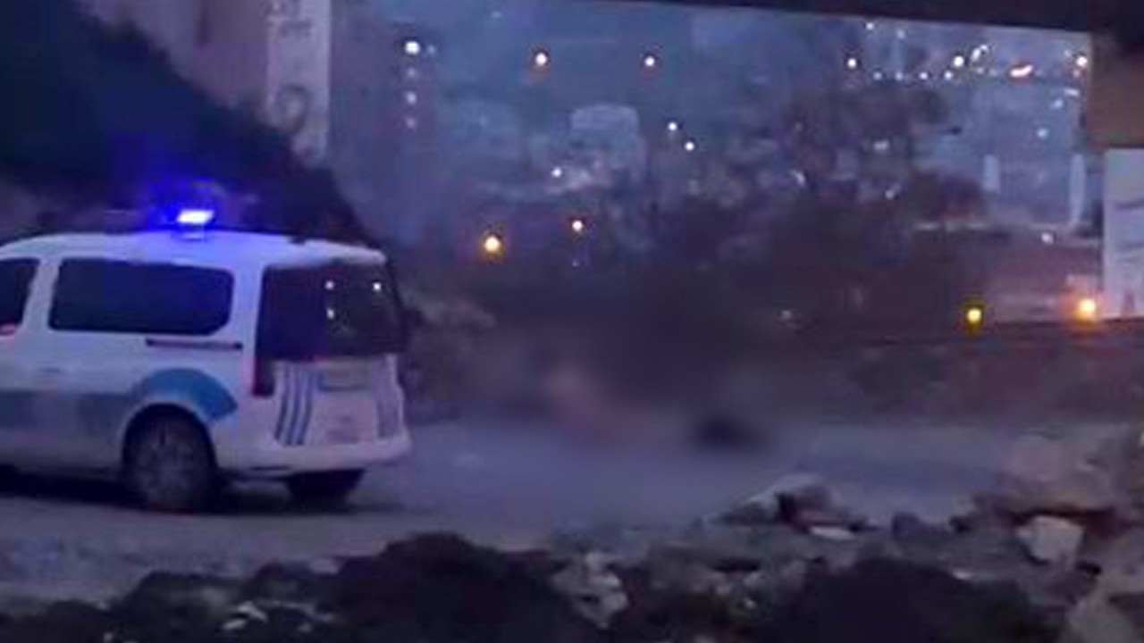 Köprü altında akıllara durgunluk veren görüntüler