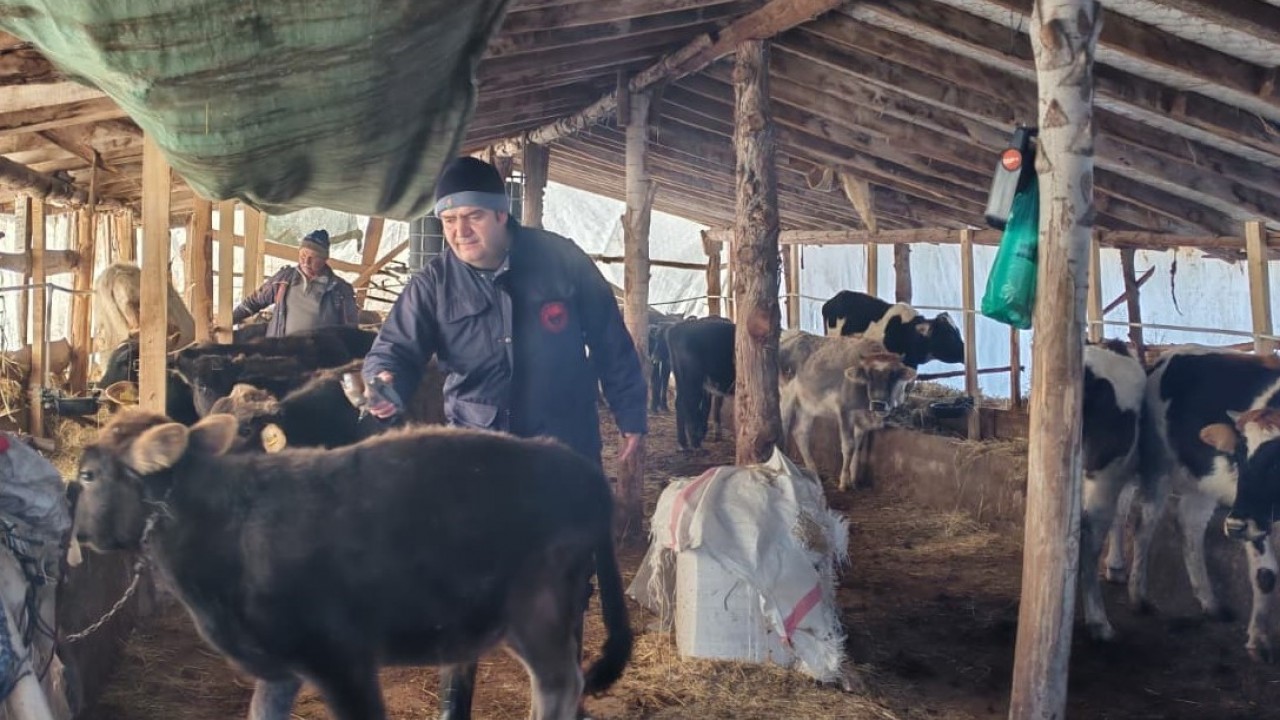 Beyşehir’de hayvancılık faaliyetleri yakın takipte