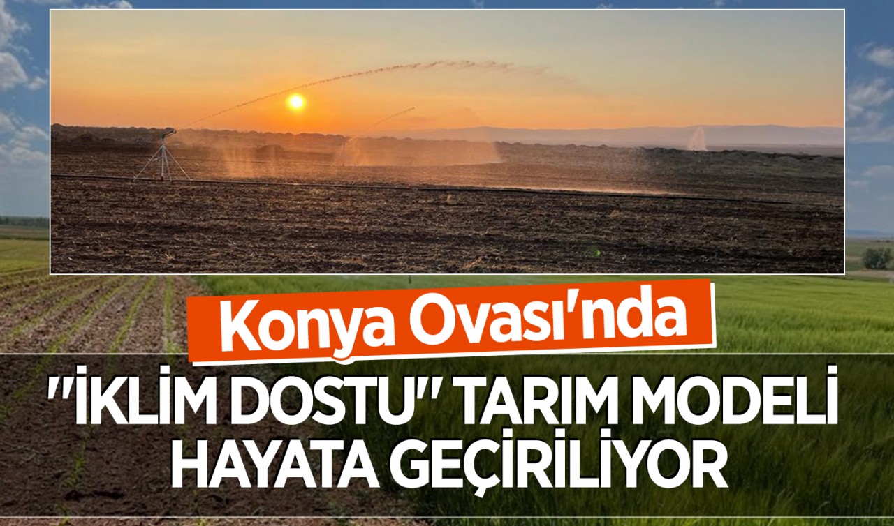 Konya Ovası'nda "iklim dostu" tarım modeli hayata geçiriliyor