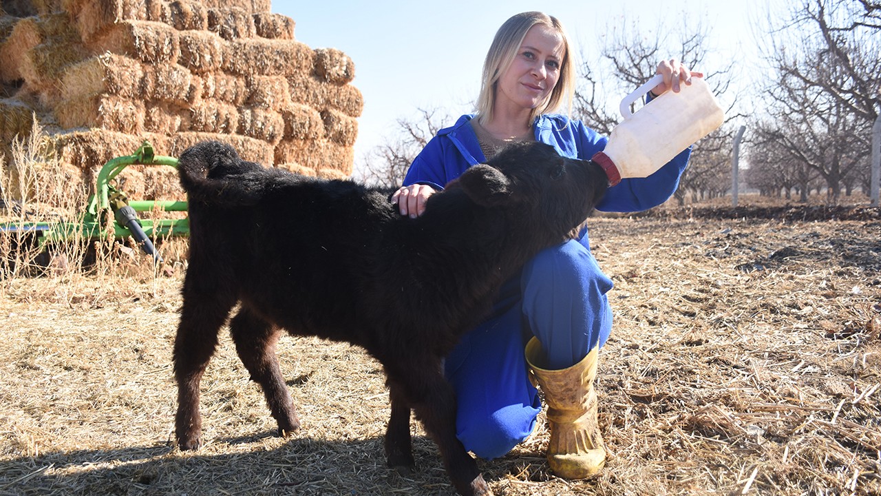 Genç kadın devlet desteğiyle hayvancılığa başladı