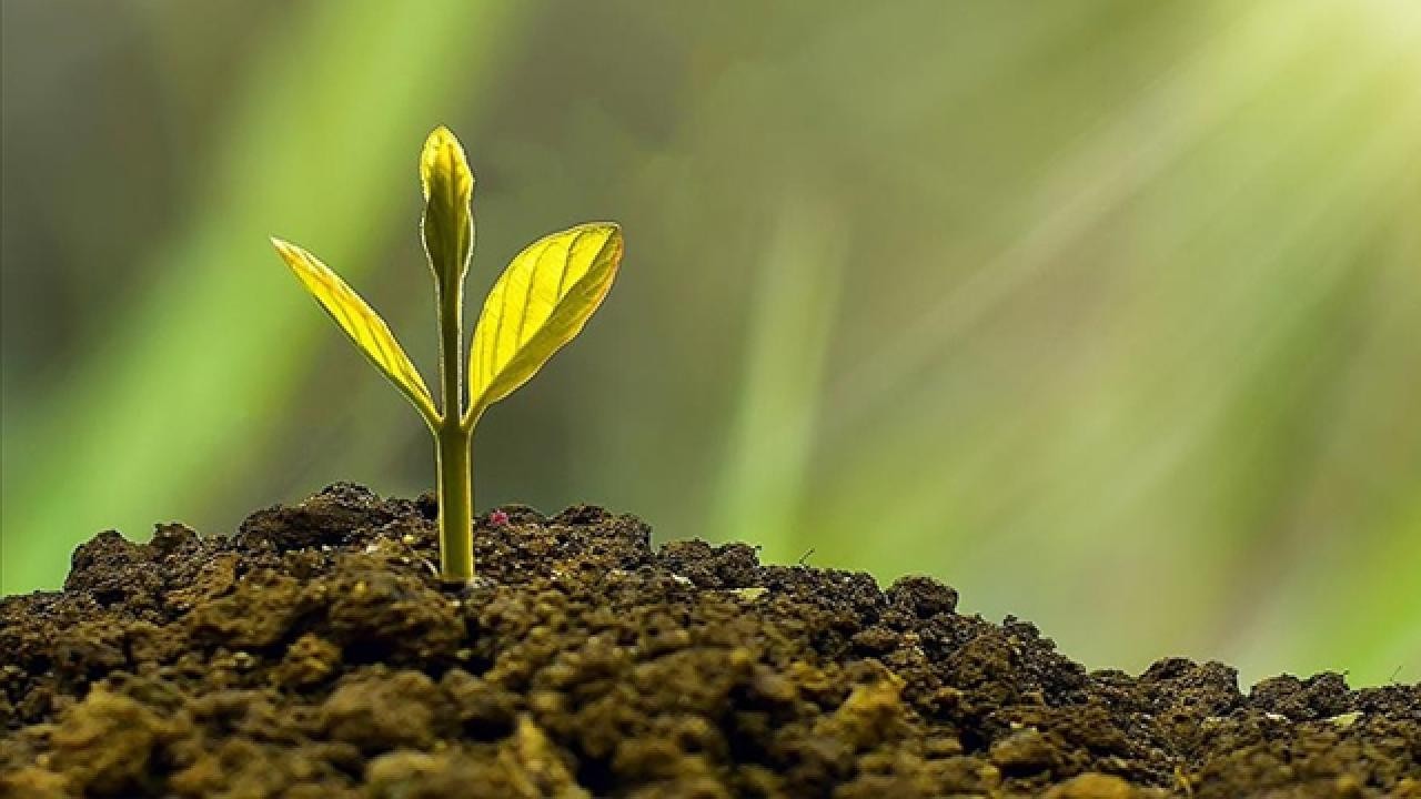 Bakanlık, yerel yönetimlere 96 milyar liralık çevre desteği sağladı