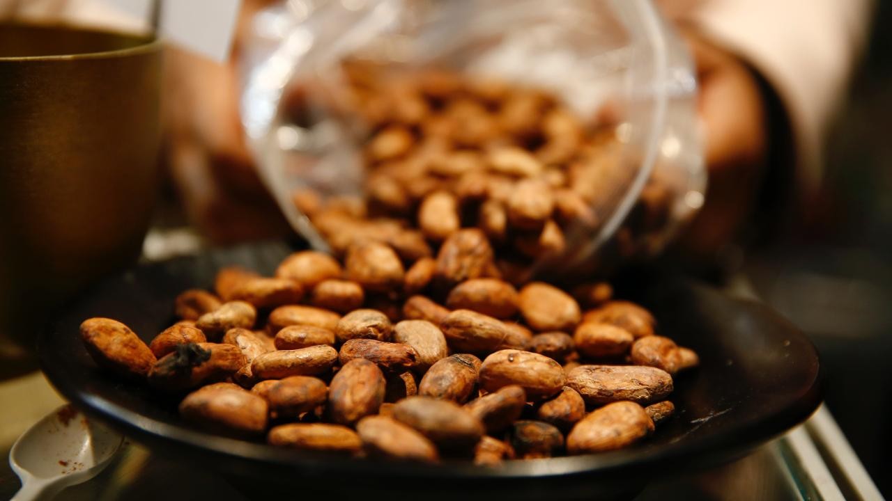 Kakao fiyatları tüm zamanların en hızlı yıllık düşüşünü gördü