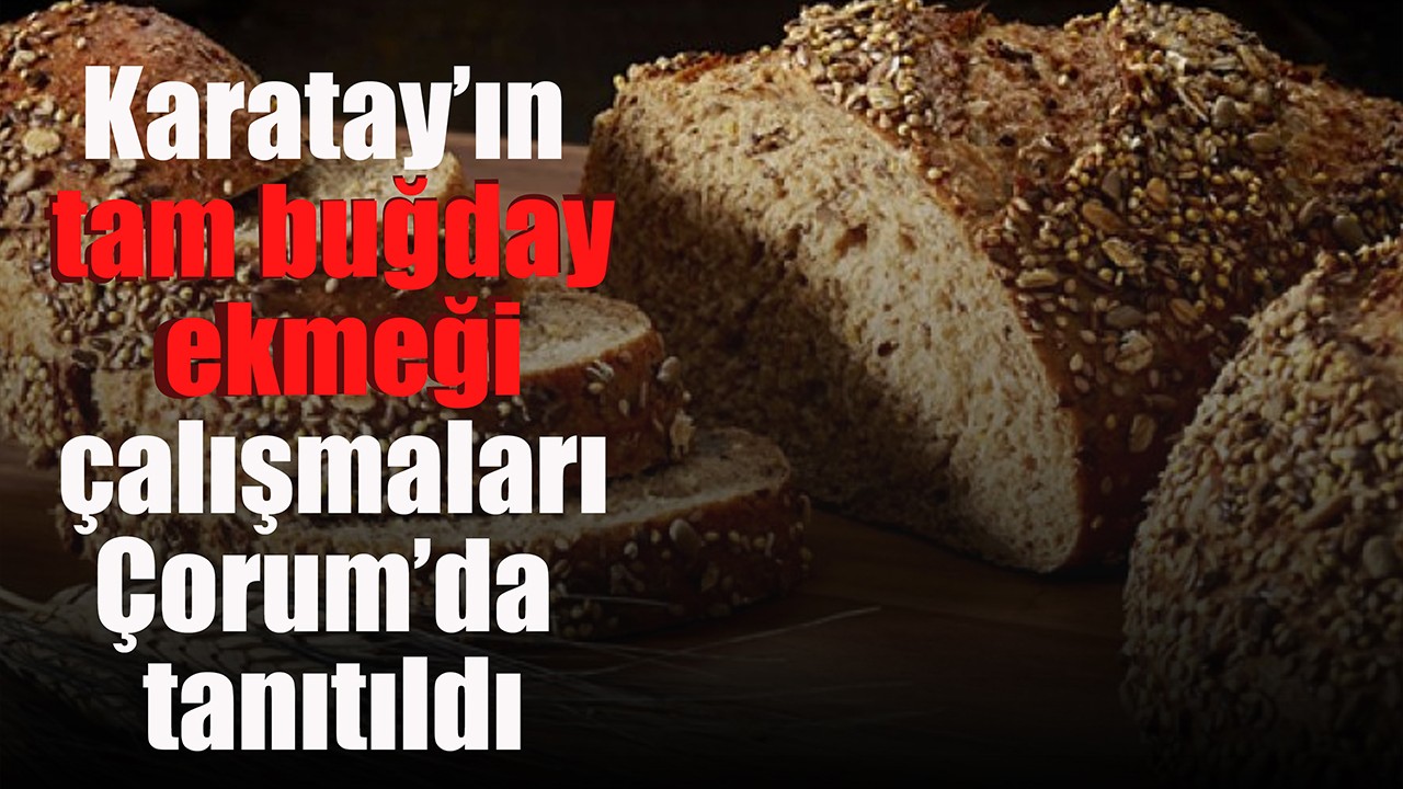 Karatay’ın tam buğday ekmeği çalışmaları Çorum’da tanıtıldı