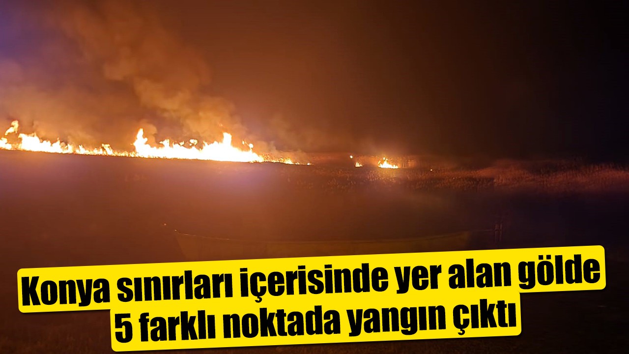 Konya sınırları içerisinde yer alan gölde 5 farklı noktada yangın çıktı