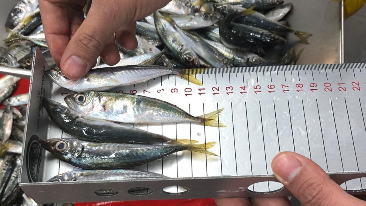 Konya’da sürdürülebilir balıkçılık için denetimler sürüyor