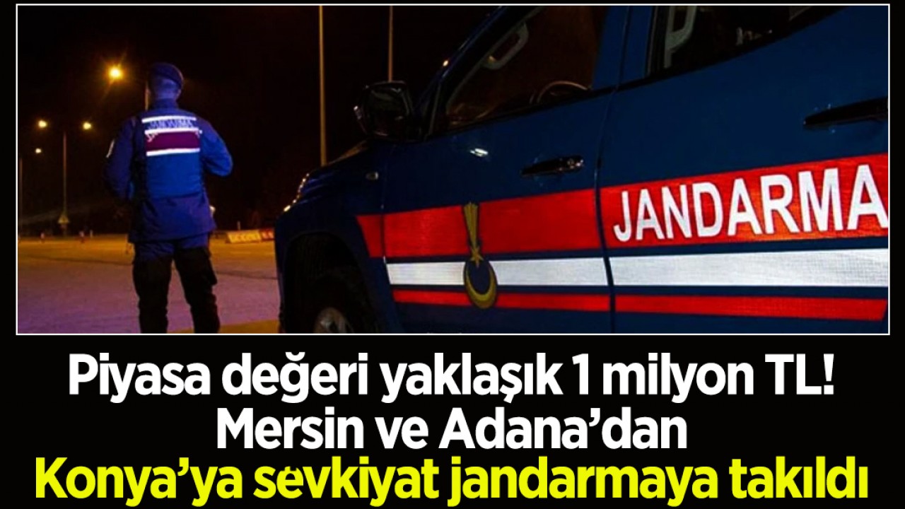 Piyasa değeri yaklaşık 1 milyon TL! Mersin ve Adana’dan Konya’ya sevkiyat jandarmaya takıldı