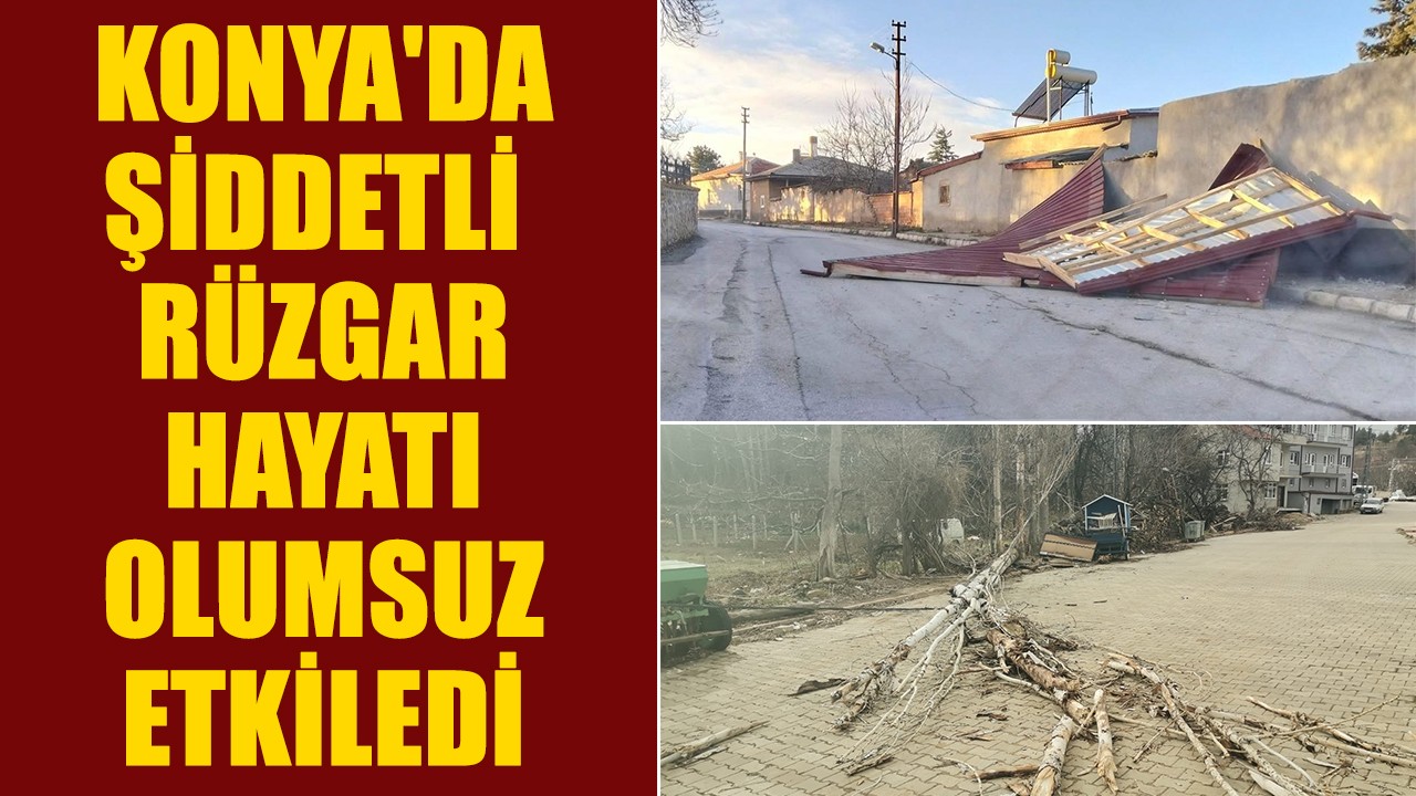 Konya'da şiddetli rüzgar hayatı olumsuz etkiledi! Ahır çöktü, hayvanlar telef oldu