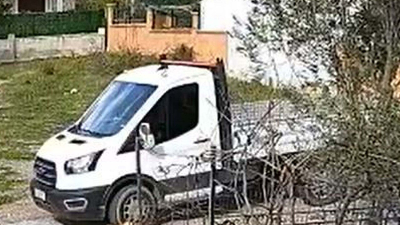 Kamyonetin üzerinden geçtiği köpek 'Meks' öldü