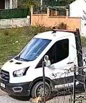 Kamyonetin üzerinden geçtiği köpek 'Meks' öldü