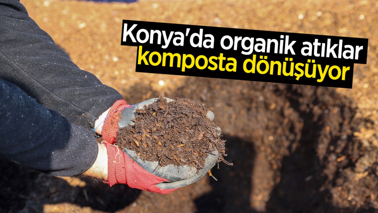 Konya'da organik atıklar komposta dönüşüyor
