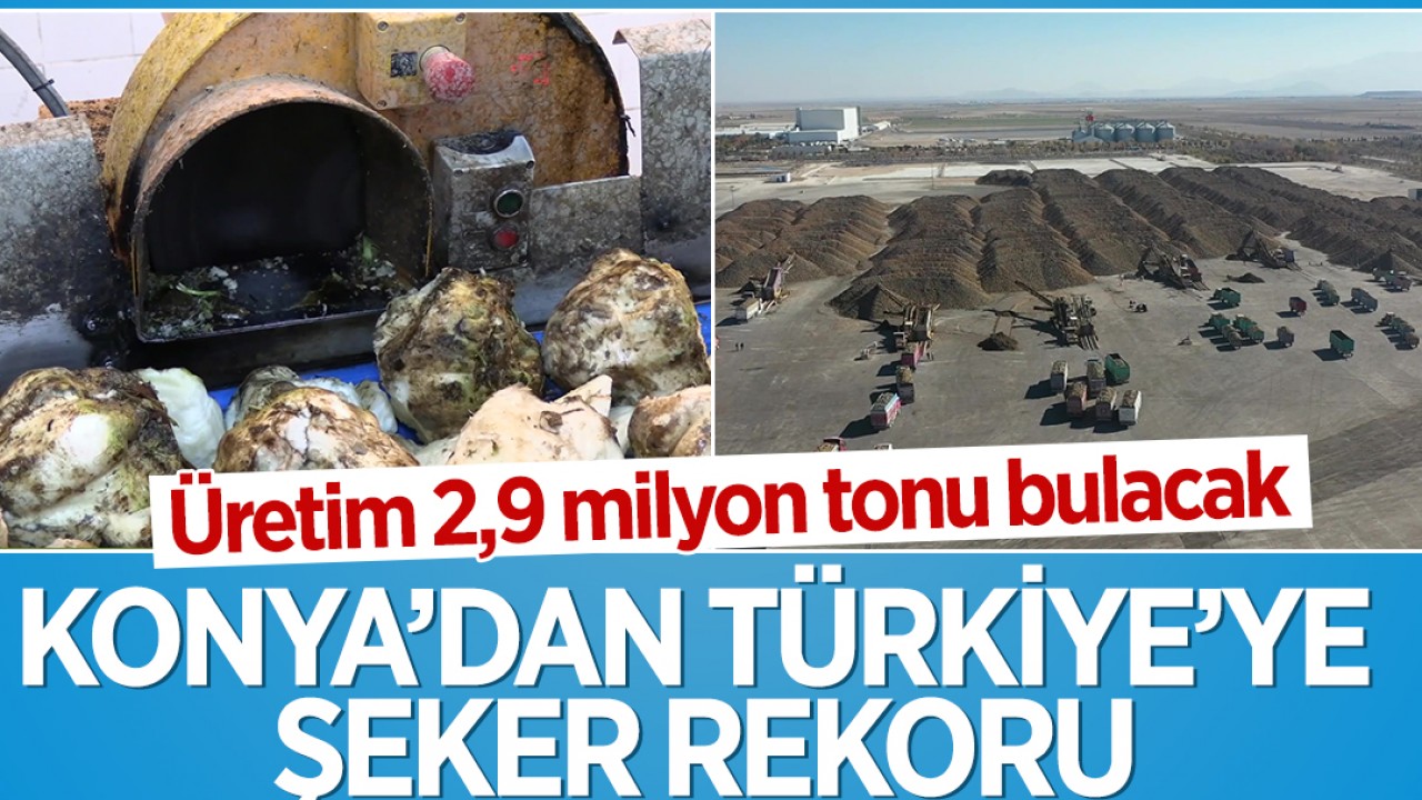 Konya’dan Türkiye’ye şeker rekoru: Üretim 2,9 milyon tonu bulacak