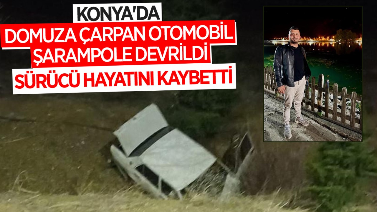 Konya'da domuza çarpan otomobil şarampole devrildi: 1 ölü