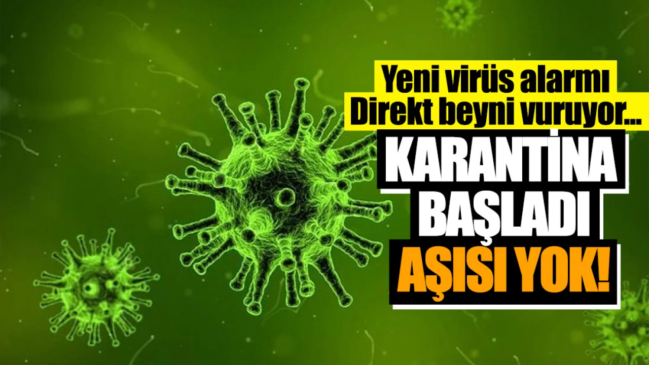 Yeni virüs alarmı: Direkt beyni vuruyor... Karantina başladı, aşısı yok!